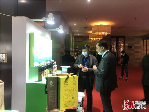 河北首届食品调味品出口产销暨招商对接会在河北沧州召开