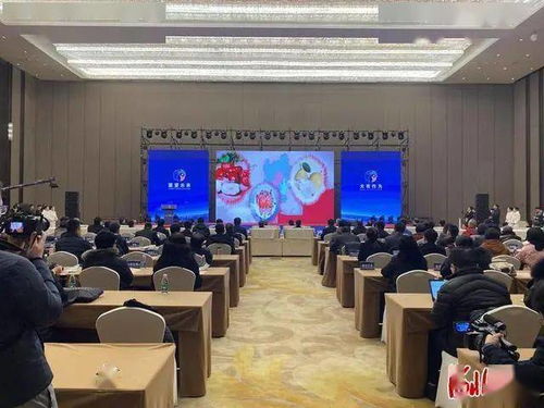 河北新闻网 河北高层次人才引进交流大会举行
