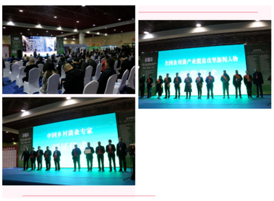 共谋食用菌产业高质量发展 助力乡村振兴 --2020中国(三门峡)食用菌新产品新技术博览会圆满落幕