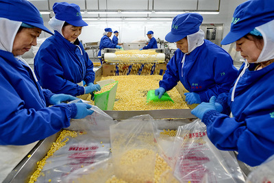 河北乐亭:打造优质农产品基地_河北新闻网
